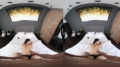 Big Ass Brunette Chick Blowjobs POV