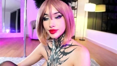 Sexy ladyboy in stockings jerks off