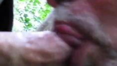 Grindr Hookup: Daddy Bear Blowjob Outdoor