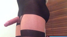 Big Cock Crossdresser in Suspender Hose