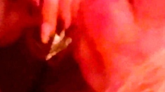 Just A Little Bit Of A Lotta Mouth Loving!