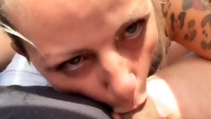 MILF POV Big Cock Blowjob