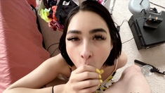 Amateur blowjob Fuck handjob and cumshot