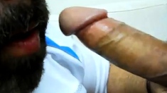 Daddy Bear Sucking Cock